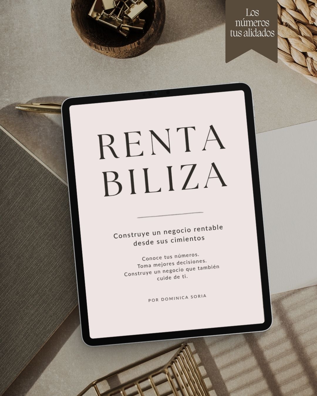 aprende a rentabilizar tu negocio